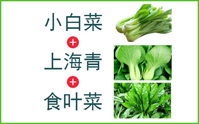 小白菜+上海青+食叶菜