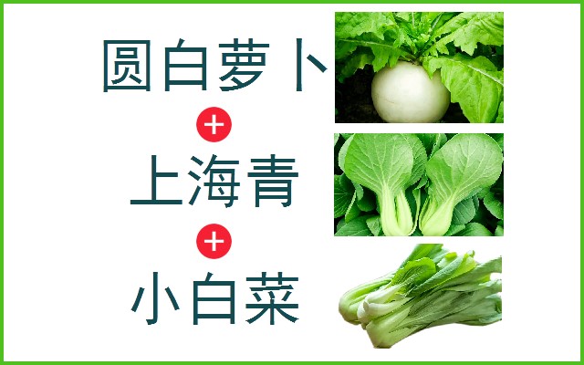 圆白萝卜+上海青+小白菜