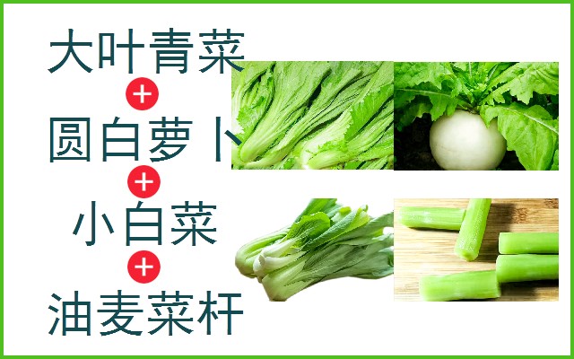 大叶青菜+圆白萝卜+小白菜+油麦菜杆