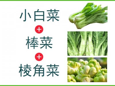 小白菜+棒菜+棱角菜（5kg生鲜装）