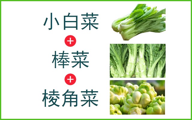 小白菜+棒菜+棱角菜