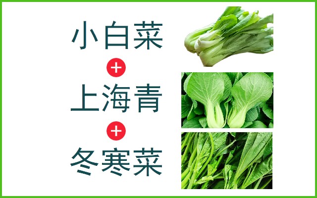 小白菜+上海青+冬寒菜