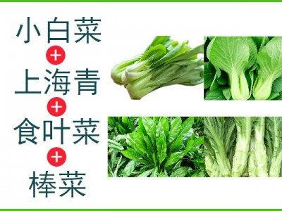 小白菜+上海青+食叶菜+棒菜（5kg生鲜装）