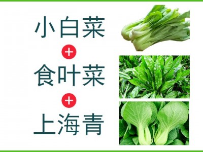 小白菜+食叶菜+上海青（5kg生鲜装）
