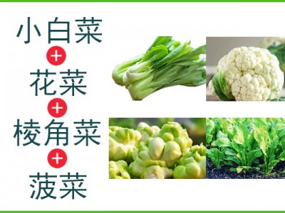 小白菜+花菜+棱角菜+菠菜（5kg生鲜装）