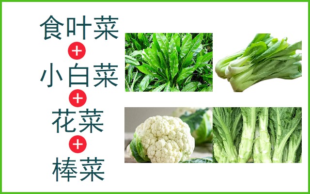食叶菜+小白菜+花菜+棒菜