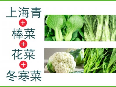 上海青+棒菜+花菜+冬寒菜（5kg生鲜装）