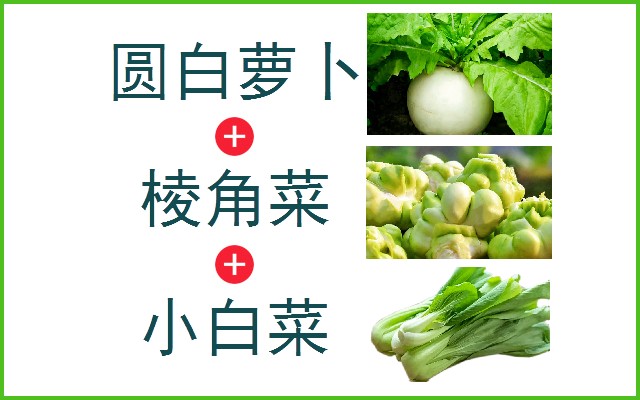 圆白萝卜+棱角菜+小白菜