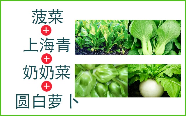 菠菜+上海青+奶奶菜+圆白萝卜