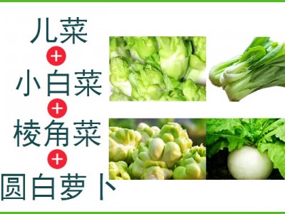 儿菜+小白菜+棱角菜+圆白萝卜（ 5kg生鲜装