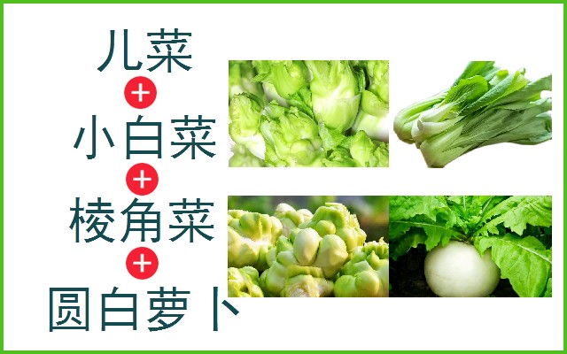 儿菜+小白菜+棱角菜+圆白萝卜