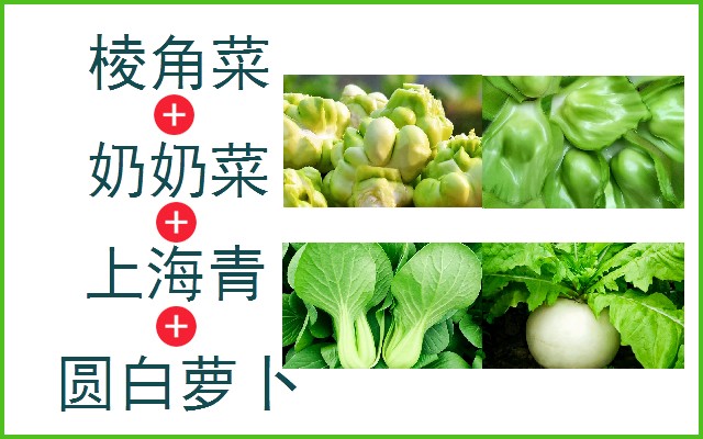 棱角菜+奶奶菜+上海青+圆白萝卜
