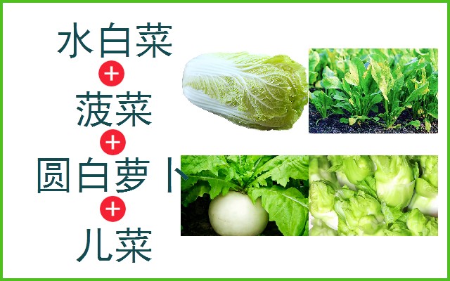 水白菜+菠菜+圆白萝卜+儿菜
