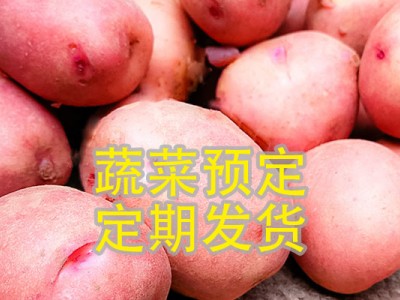红皮土豆（预定 1kg生鲜装）
